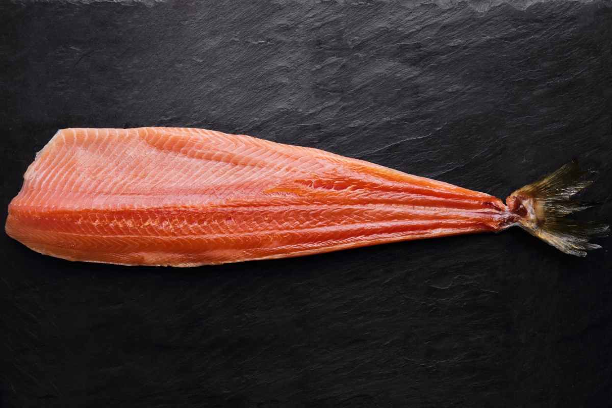 Salmon Swim Upstream